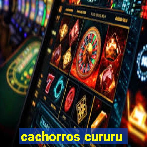 cachorros cururu